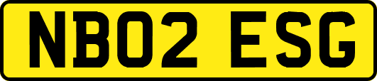 NB02ESG