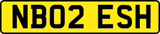 NB02ESH