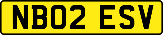 NB02ESV