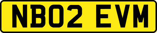 NB02EVM
