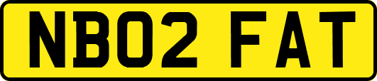 NB02FAT