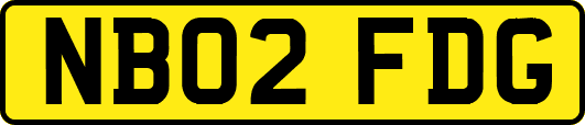 NB02FDG