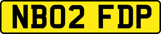 NB02FDP