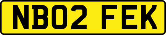 NB02FEK