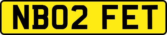 NB02FET