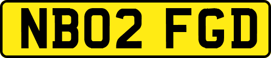 NB02FGD