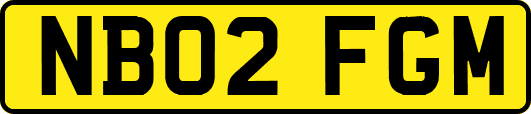 NB02FGM