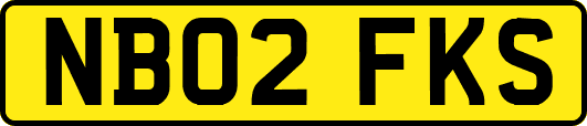 NB02FKS