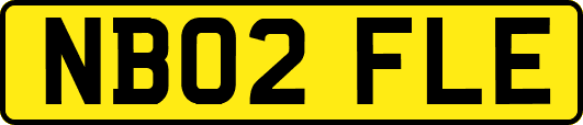 NB02FLE