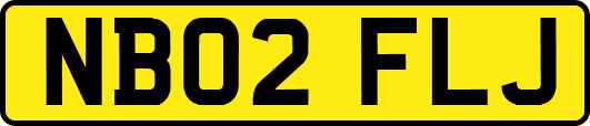 NB02FLJ