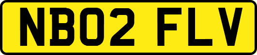 NB02FLV