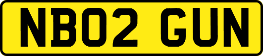 NB02GUN
