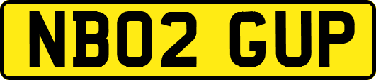 NB02GUP