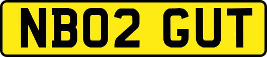 NB02GUT