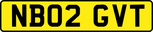 NB02GVT