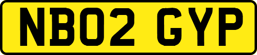NB02GYP