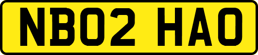NB02HAO
