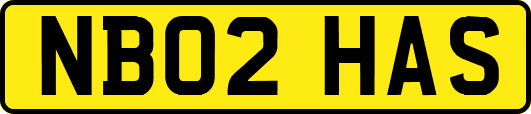 NB02HAS