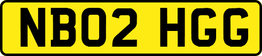 NB02HGG