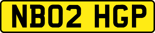 NB02HGP