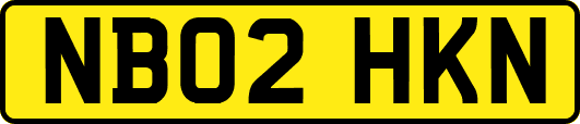 NB02HKN