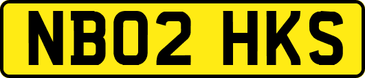 NB02HKS