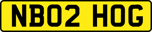 NB02HOG