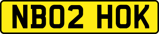 NB02HOK