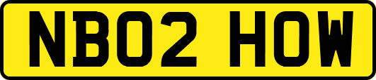 NB02HOW