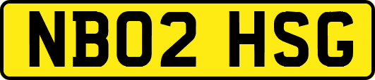 NB02HSG