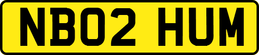 NB02HUM