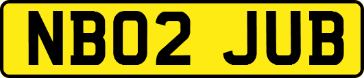 NB02JUB