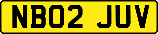 NB02JUV