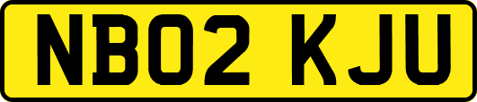 NB02KJU