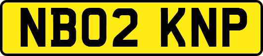 NB02KNP