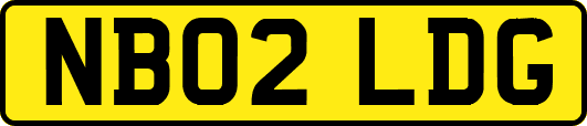 NB02LDG