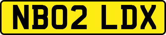 NB02LDX