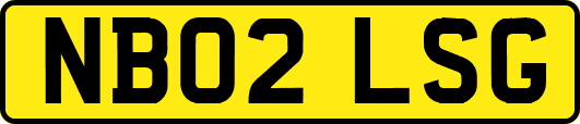 NB02LSG