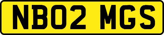 NB02MGS