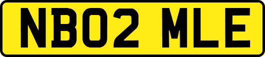 NB02MLE