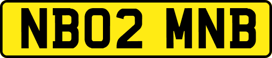 NB02MNB