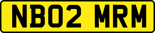 NB02MRM