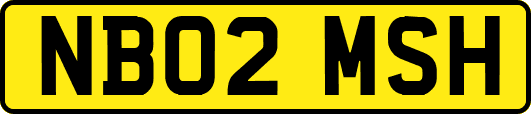 NB02MSH