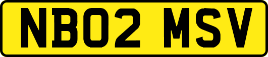 NB02MSV
