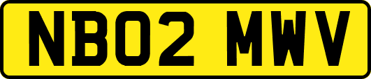 NB02MWV