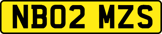 NB02MZS