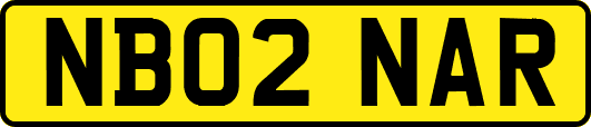 NB02NAR