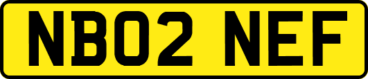 NB02NEF