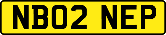 NB02NEP