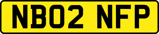NB02NFP